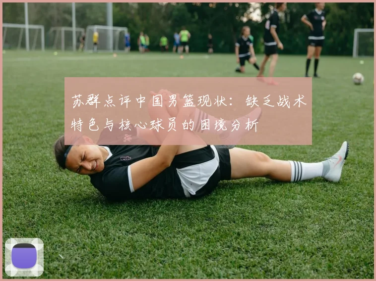 苏群点评中国男篮现状：缺乏战术特色与核心球员的困境分析