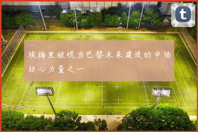 埃梅里被视为巴黎未来建设的中场核心力量之一